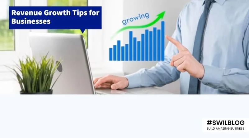 The 10 Best Tips For Increase Revenue For Your Business - SWIL